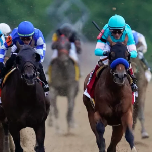 National Treasure wins the Preakness