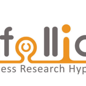 Infollion Research Services Limited IPO