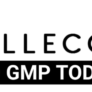 Cellecor Gadgets Limited IPO
