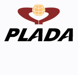 Plada Infotech Services Limited IPO