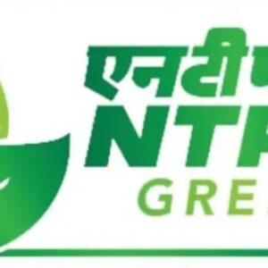 NTPC Green Energy Limited IPO